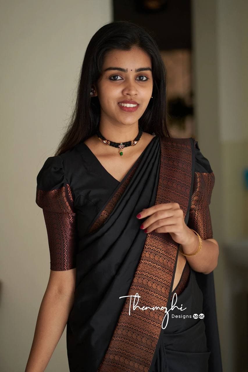 Classic Black Banarasi Silk Saree with Copper Accents