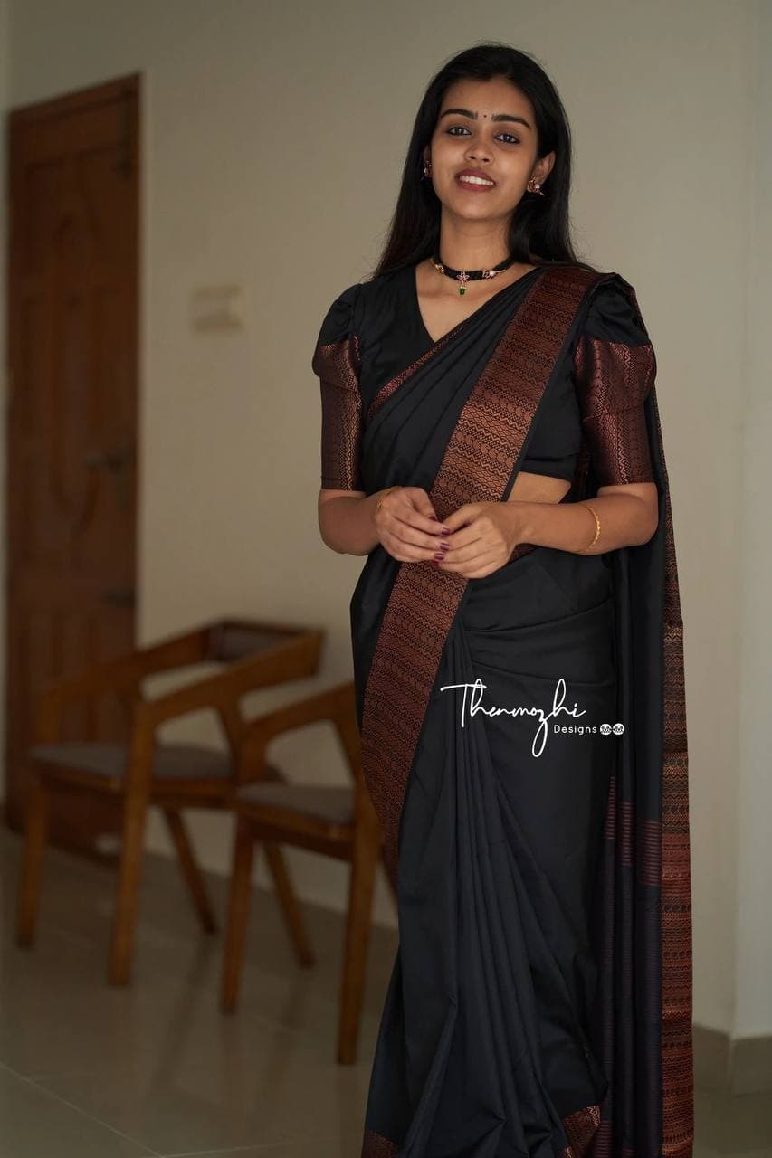 Classic Black Banarasi Silk Saree with Copper Accents